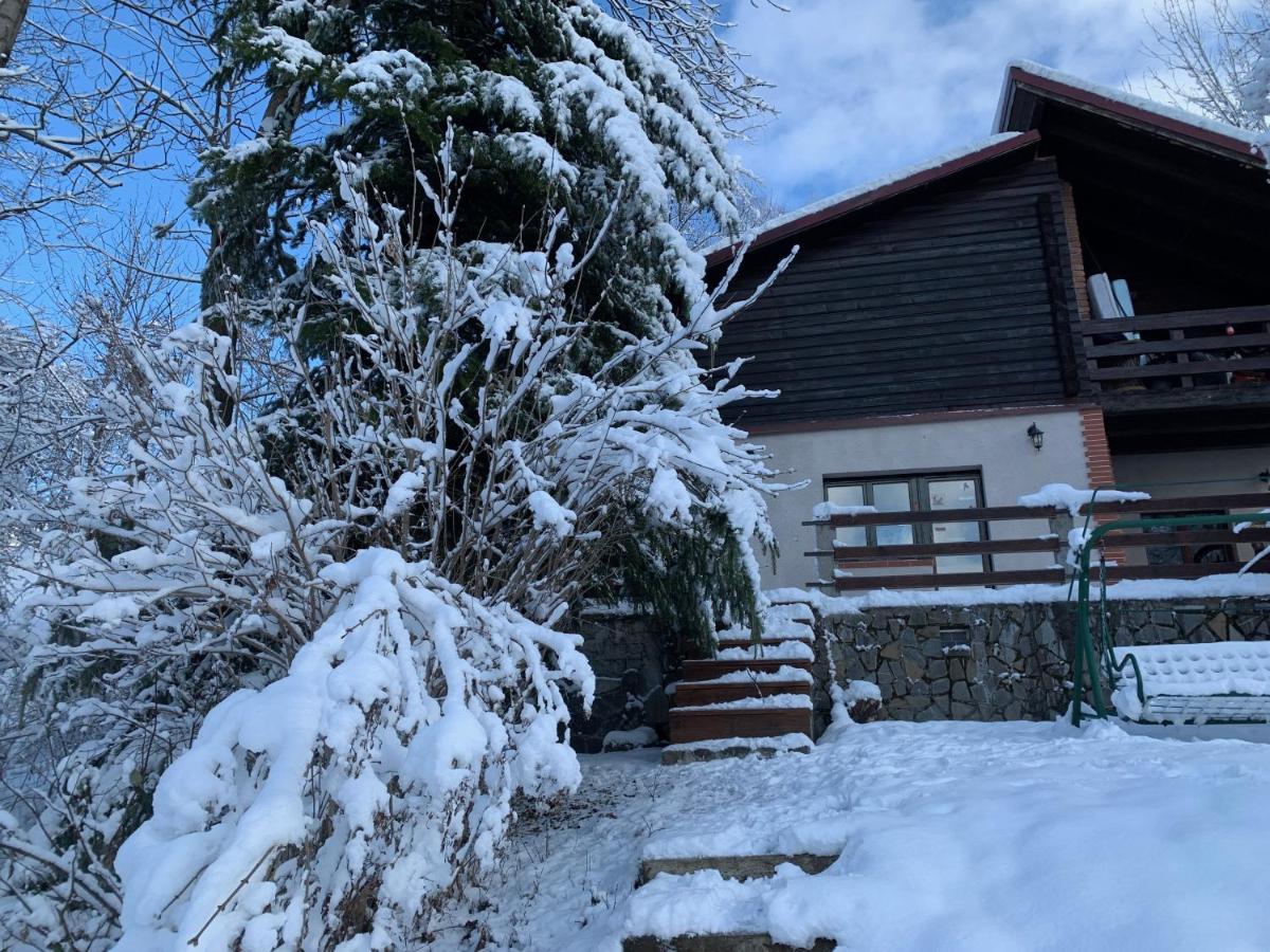 קומרניק Mountain Family Chalet On Prahova Valley מראה חיצוני תמונה