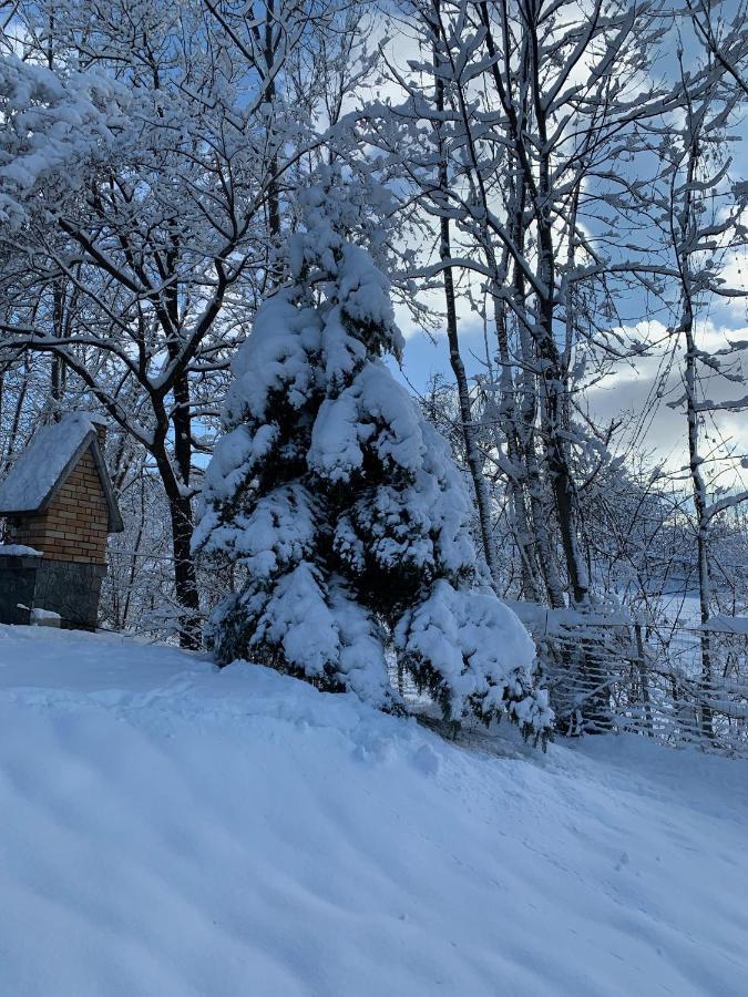 קומרניק Mountain Family Chalet On Prahova Valley מראה חיצוני תמונה